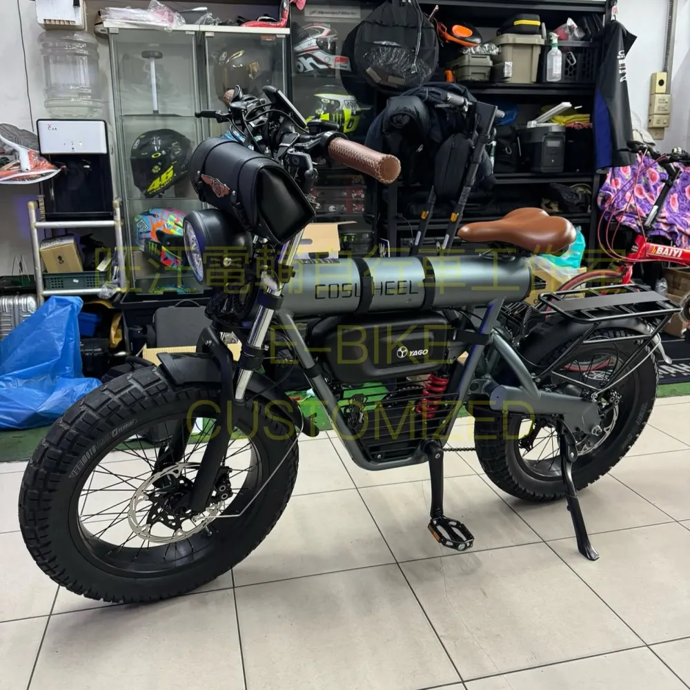 換上 Magura 四活塞煞車與 VEE E-Huntsman 4.8 胖胎的 COSWHEEL T20