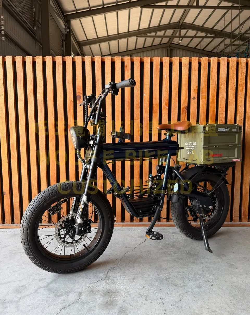 完成海軍藍烤漆與避震、煞車升級的 COSWHEEL T20