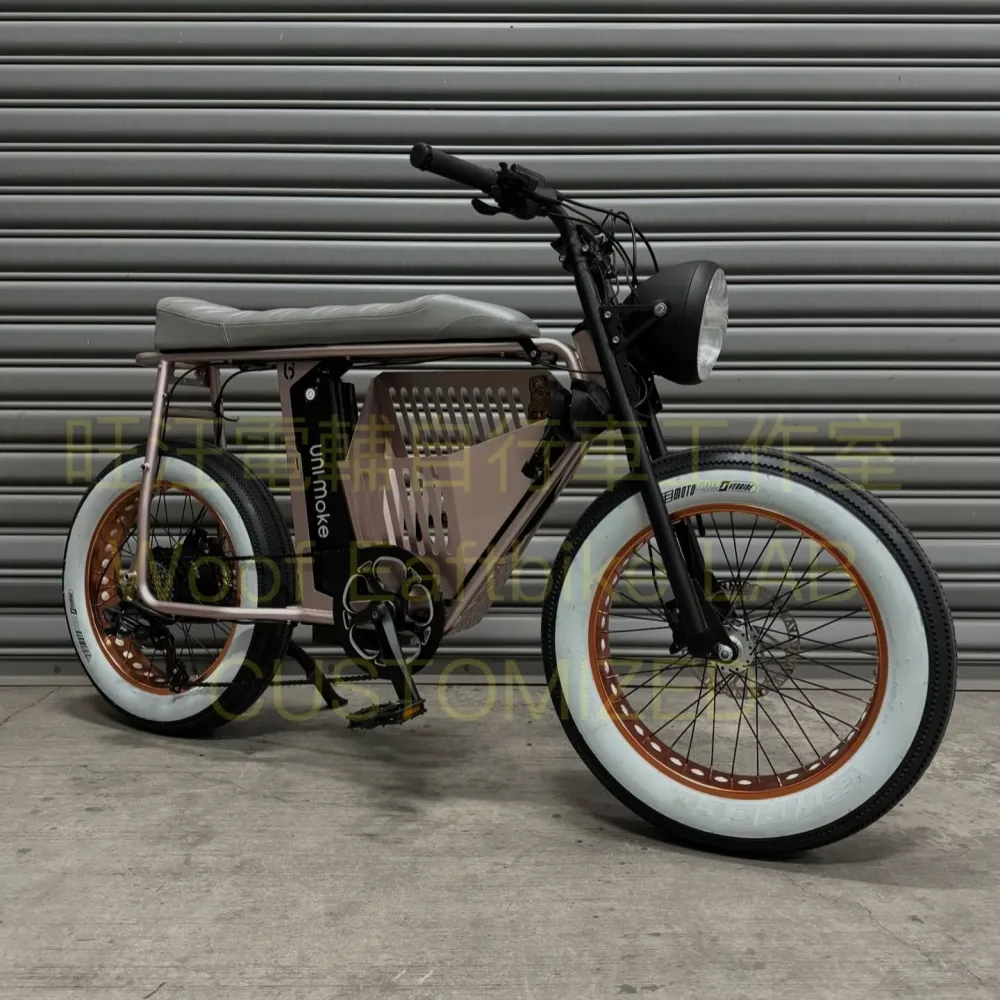 玫瑰金車架搭配白邊胎組裝完成的電輔車