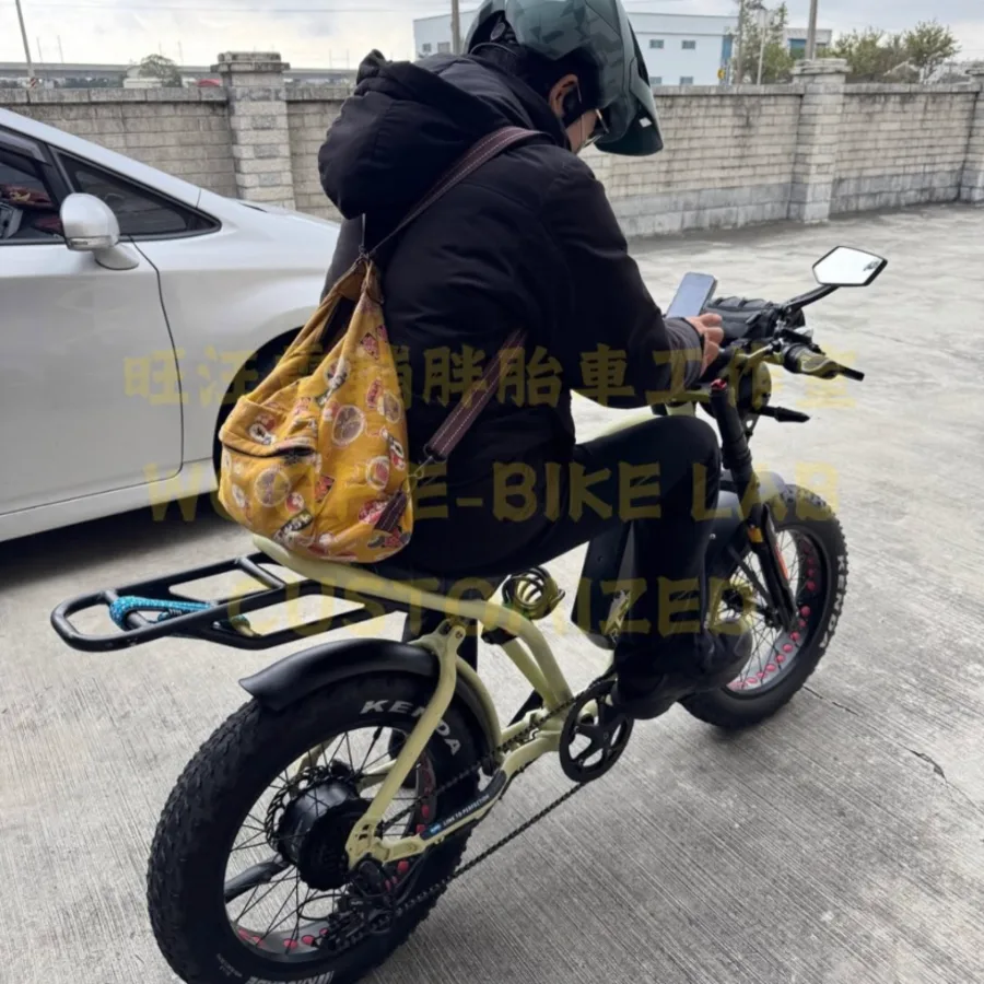車主騎上升級 DNM 前叉的犀牛電輔車試騎調整避震