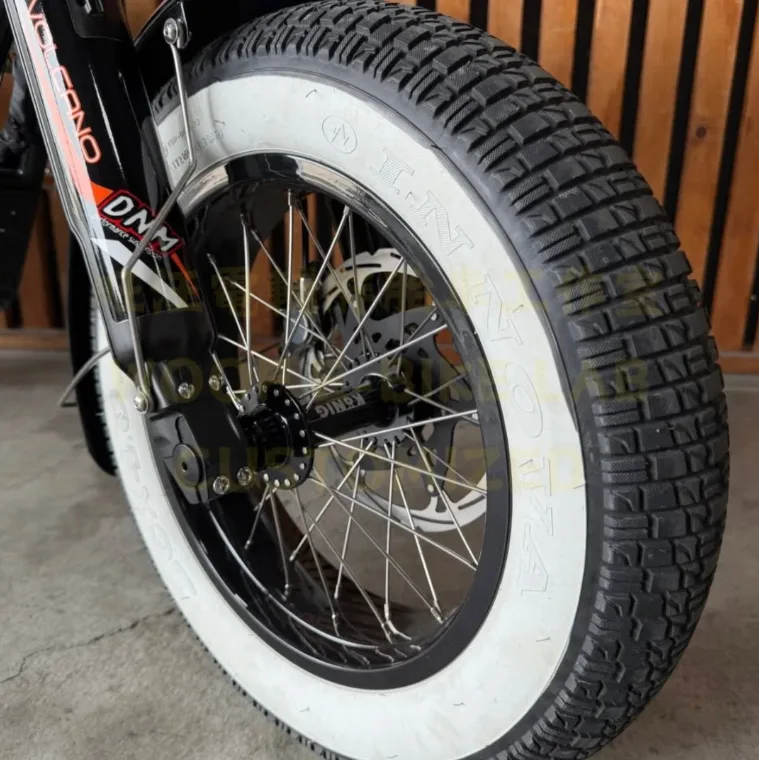 SEIC Minibike DNM 倒叉、KONIG 花鼓與自製土除支架特寫