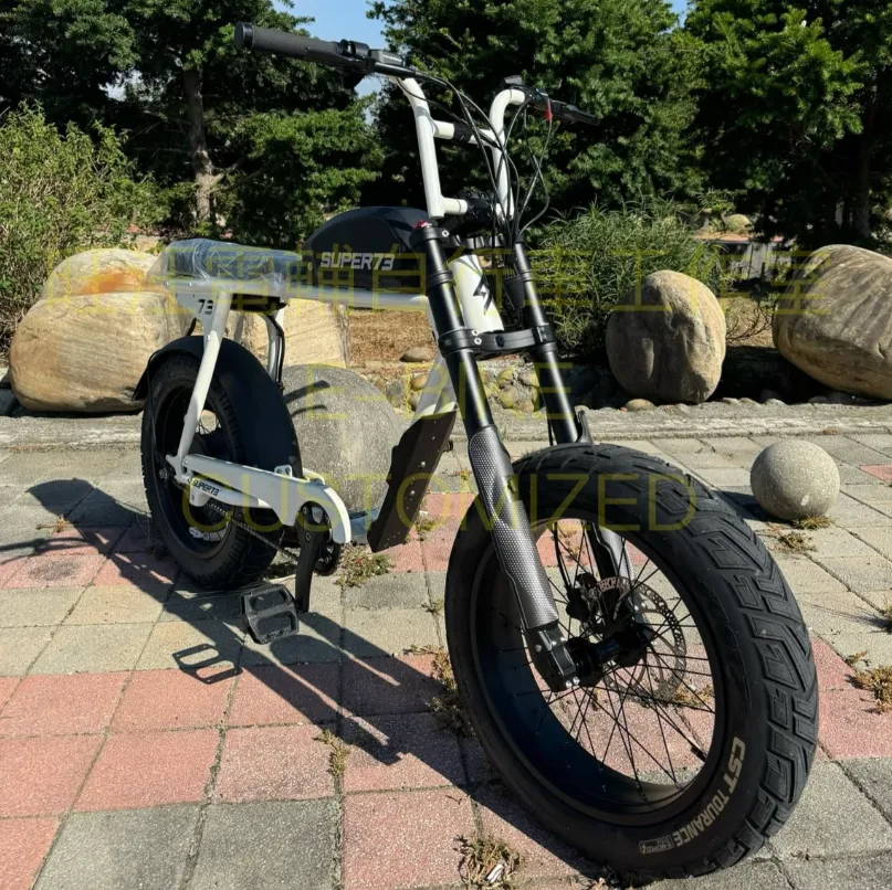 白色 SUPER73 S2 改裝 DNM 倒叉式前叉後的正面照