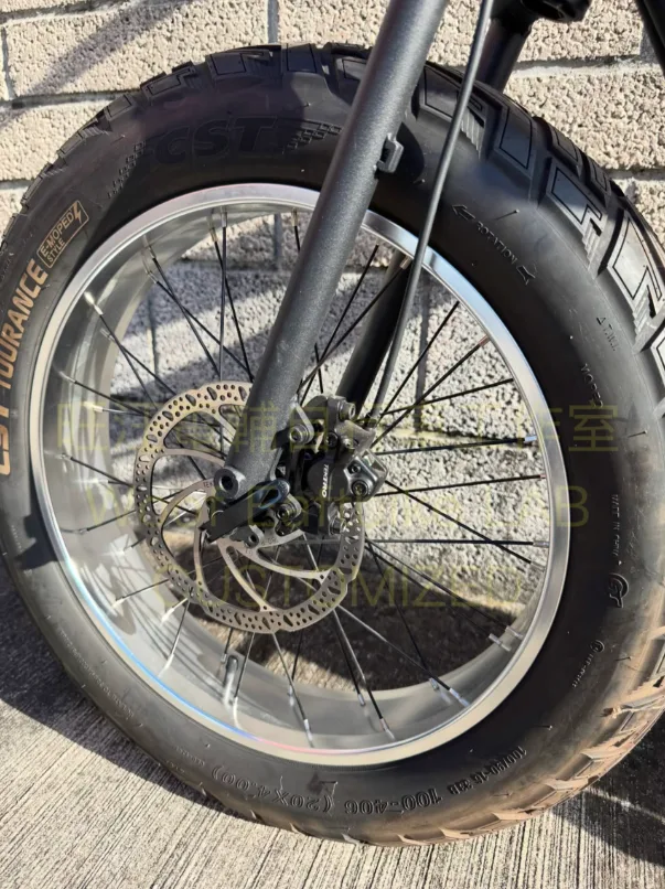 胖胎車前輪換上快拆花鼓與拋光銀鋁圈